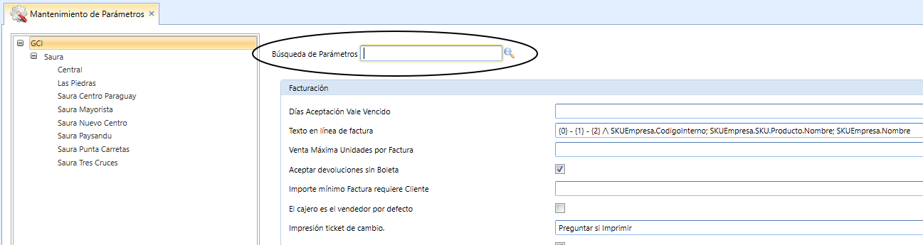 MantenimientoParametros_Busqueda.png